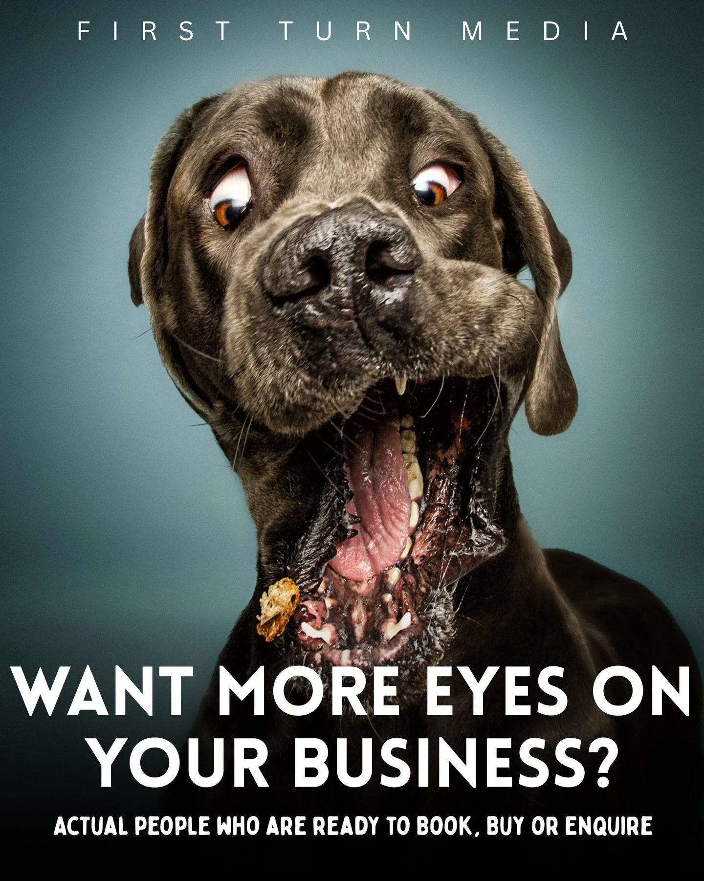 Want more eyes on your business?

Not just views. Not just likes. Actual people who are ready to enquire, book or buy.

Most businesses are stuck posting and hoping, or throwing money at boosted posts that go nowhere. That&rsquo;s not a strategy, tha