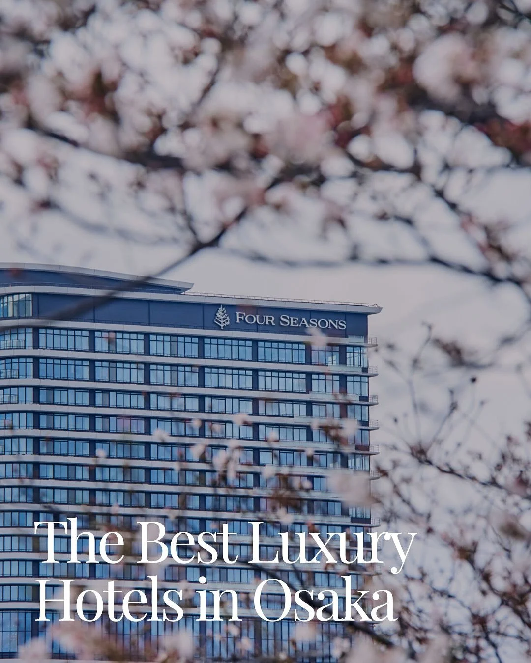 📝The Best luxury hotels in #osaka #japan 

Have a taste of the fine life in some of Japan&rsquo;s best hotels.

1. @fsosaka Four Seasons Osaka

2. @conradosaka Conrad Osaka

3. @patinaosaka Patina Osaka

4. @waldorfastoriaosaka Waldorf Astoria Osaka