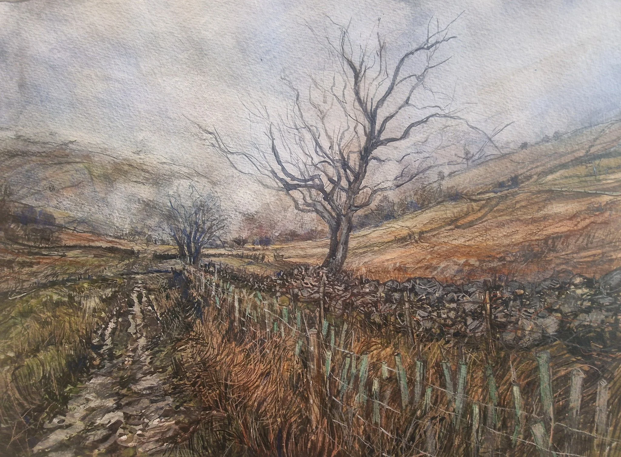 Sally Toms 'rolling moss covered sun dappled walls till the cows come home', watercolour and gouche on paper, 45 x 55cm, £950