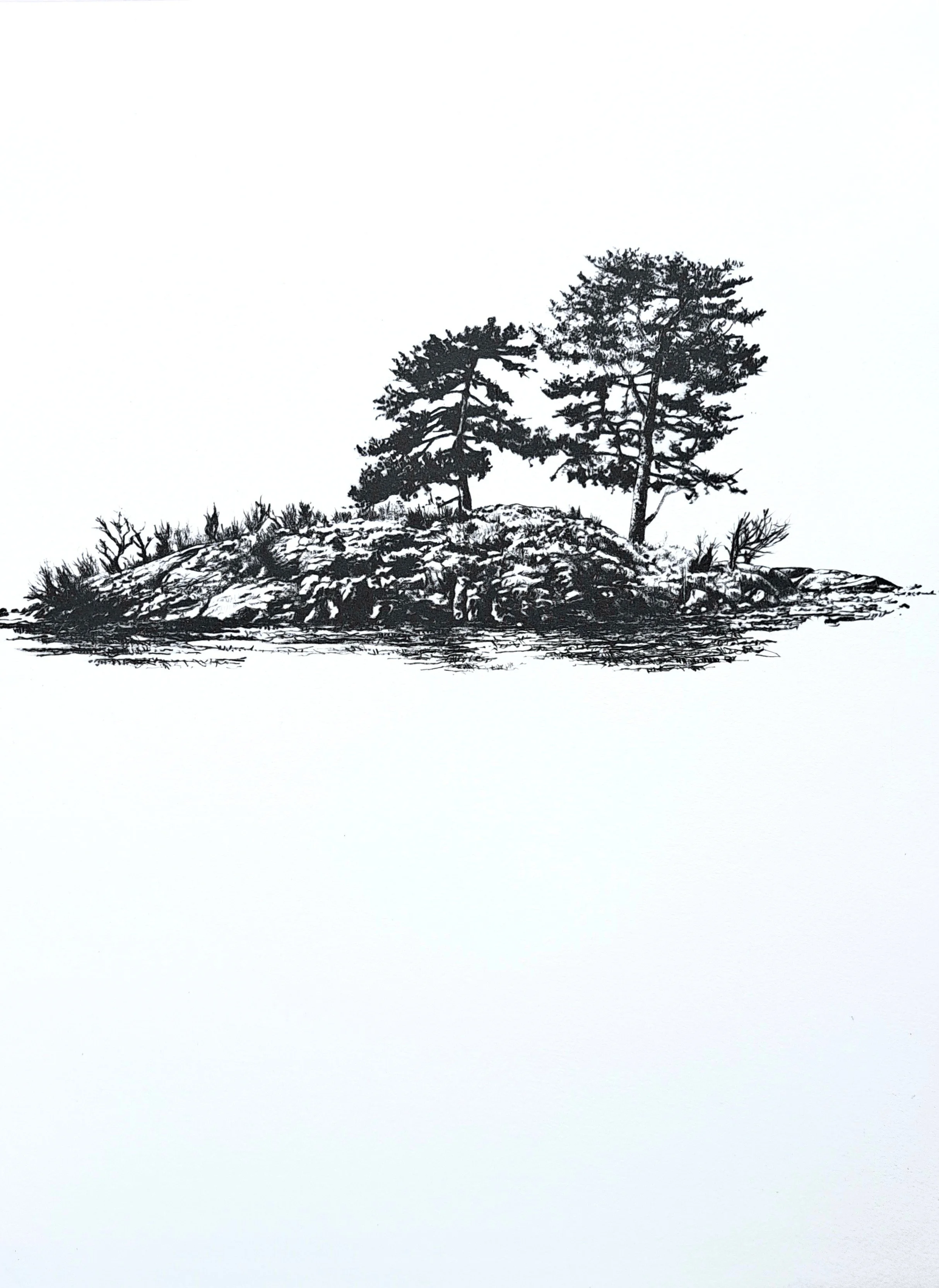 Richard Foster 'Holme III'