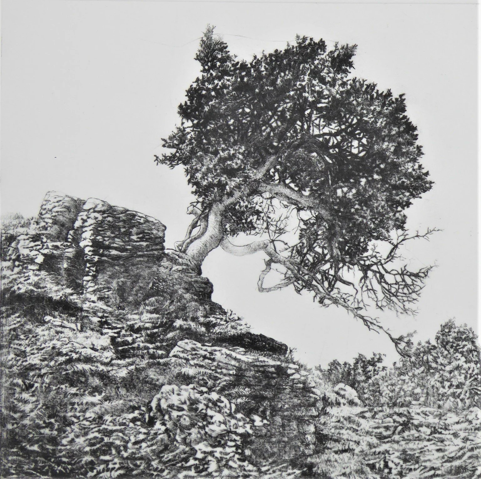 Richard Foster