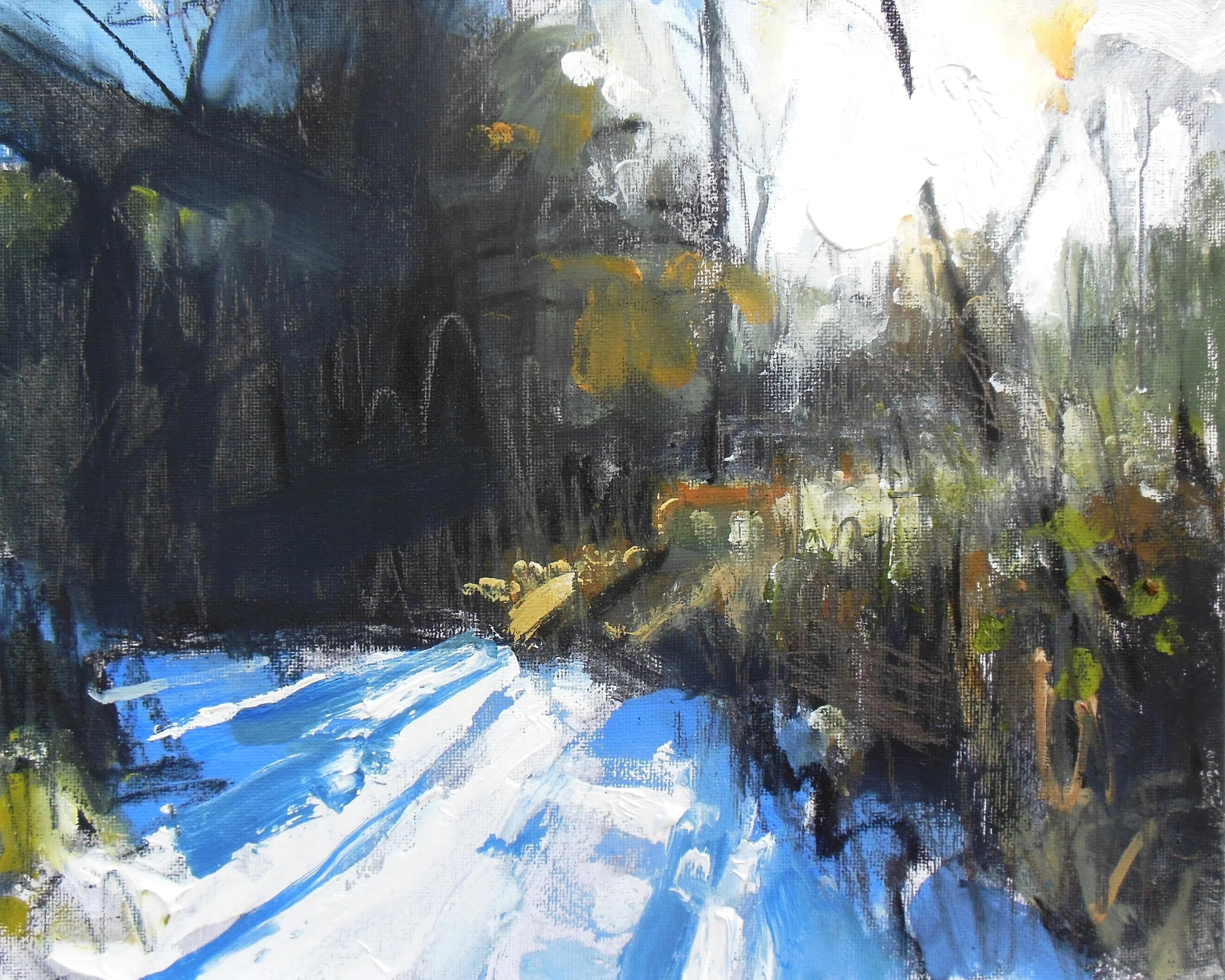 7.  Winter Sun through Trees VII.JPG