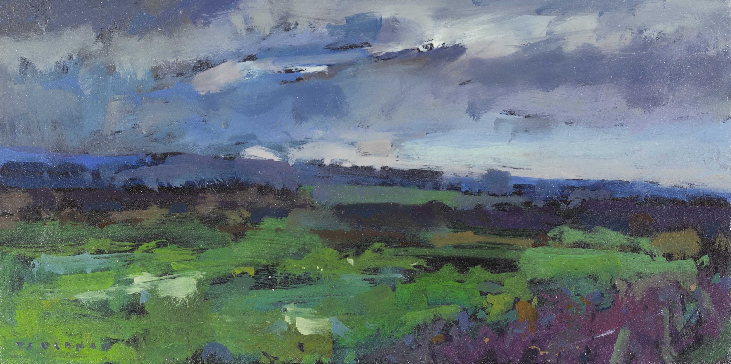 Jamie Oldham, Landscape painter-66.jpg