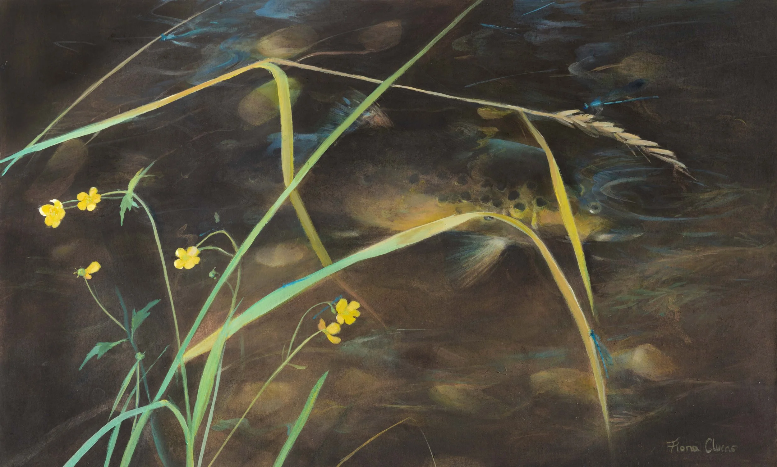 Fiona Clucas 'Upstream', acrylic, 45 x 68cm, £1200