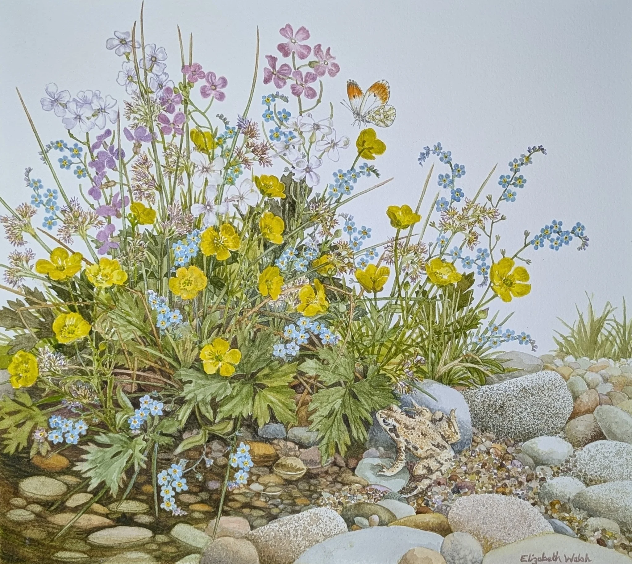 Elizabeth Walsh 'Riverside', watercolour, 50 x 55cm, £360