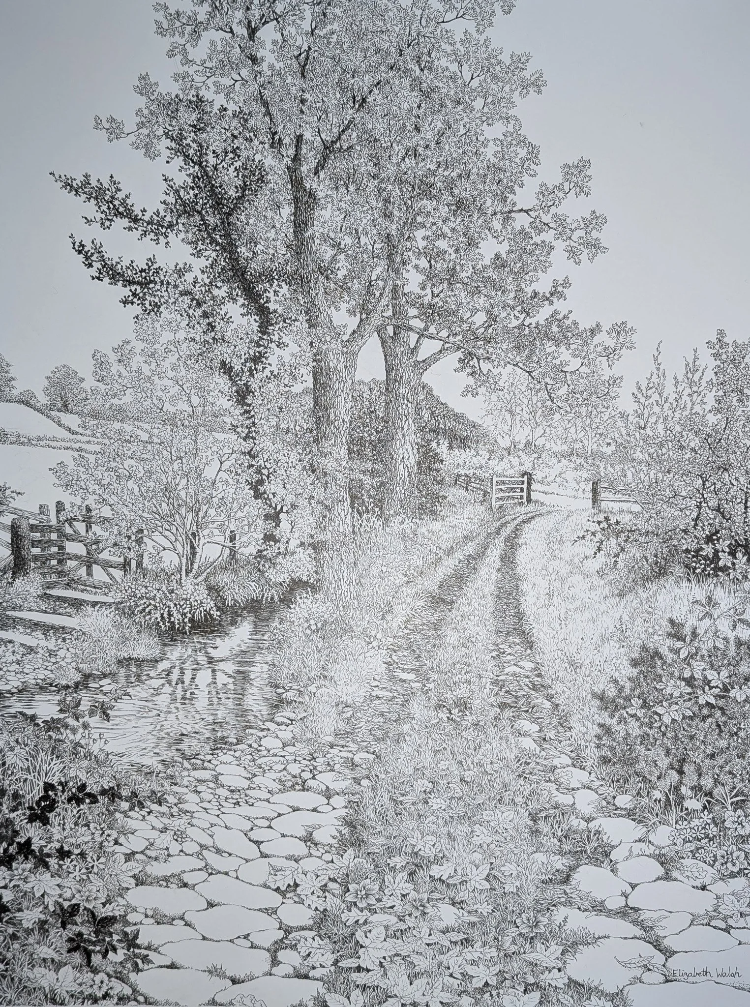 Elizabeth Walsh 'By the millstream', ink drawing, 86 x 72cm, £420