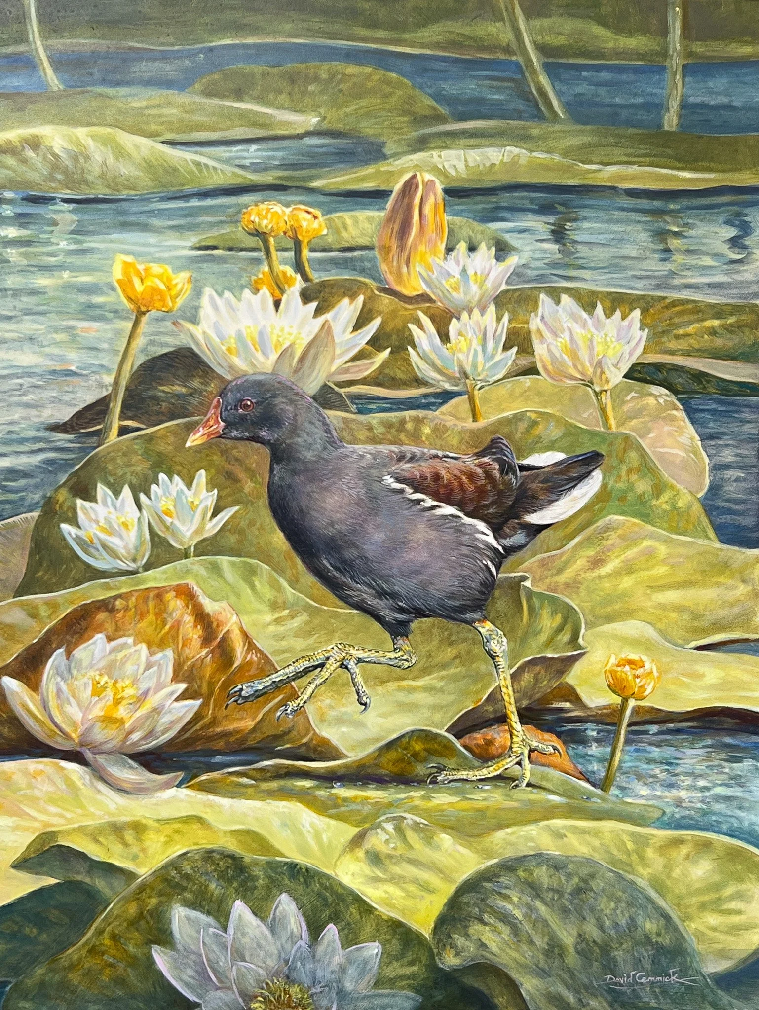 David Cemmick 'Lilly Walker - Moorhen', oil on board, £1250