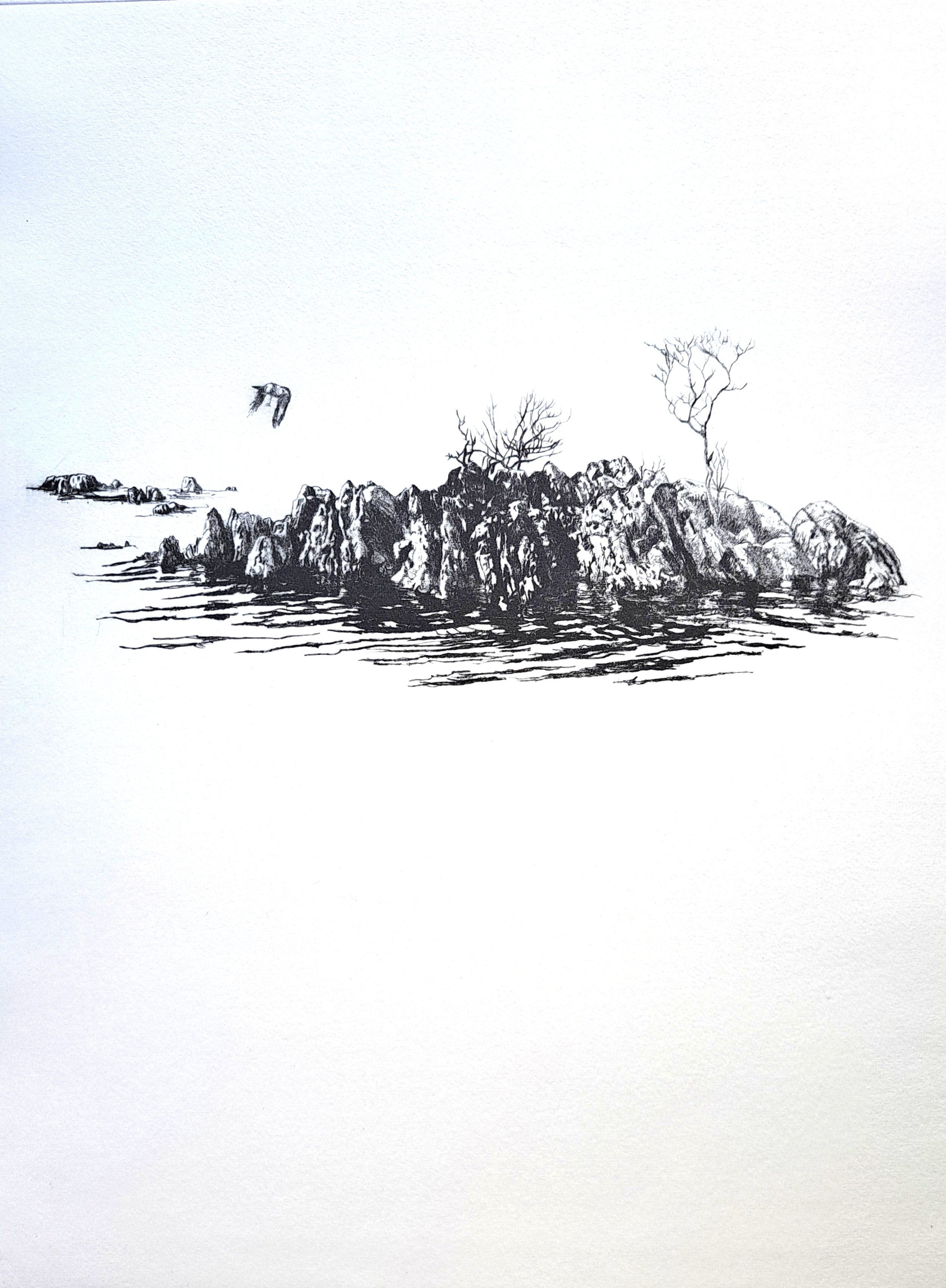 Richard Foster 'Holme II'