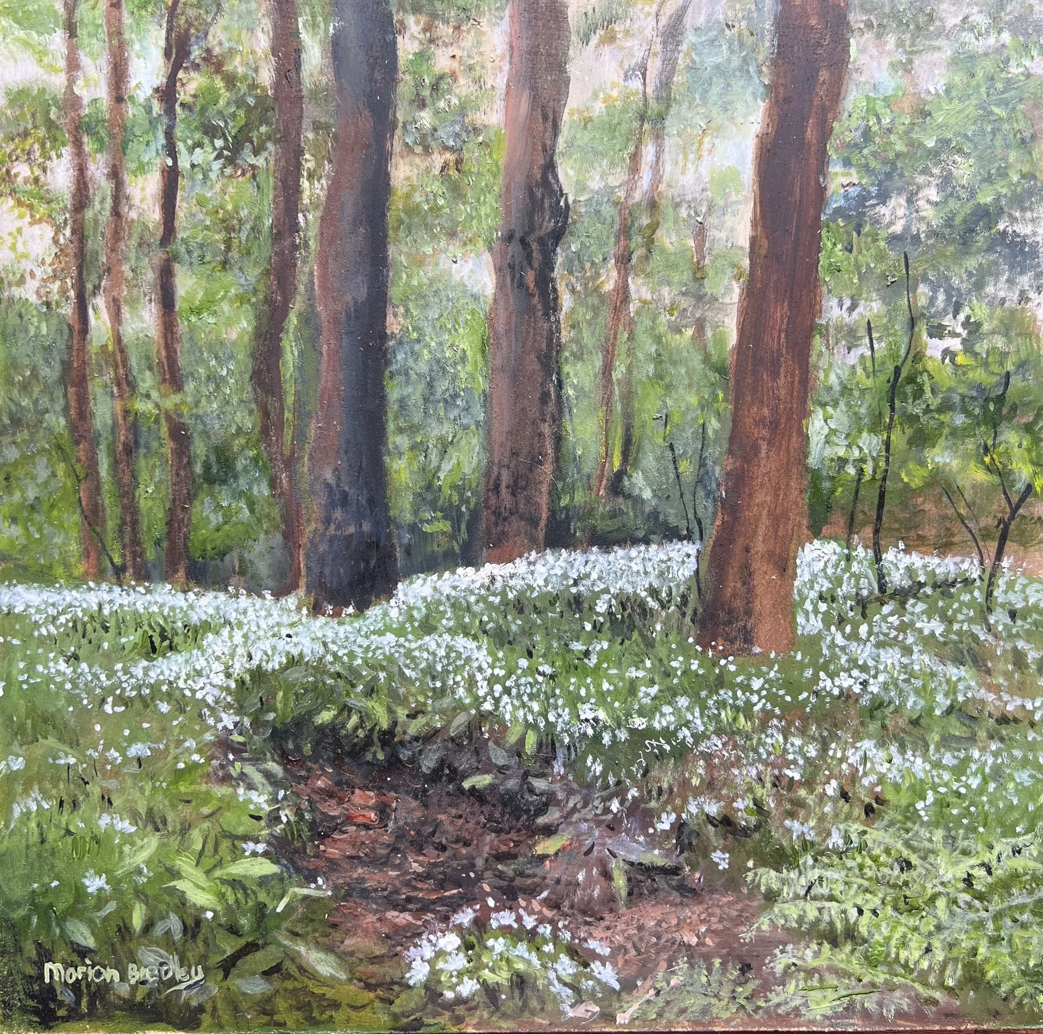 Marion Bradley 'Wild Garlic, Stock Ghyll', oil, 30.5 x 30.5cm, £325