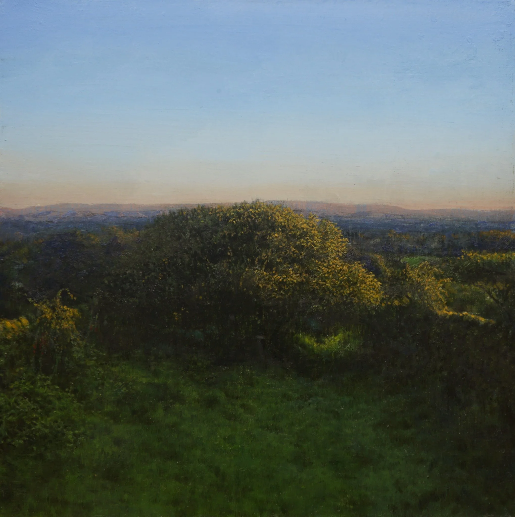 Susan H Glassford 'Crab Apple Dusk', oil, 40 x 40cm, £2750