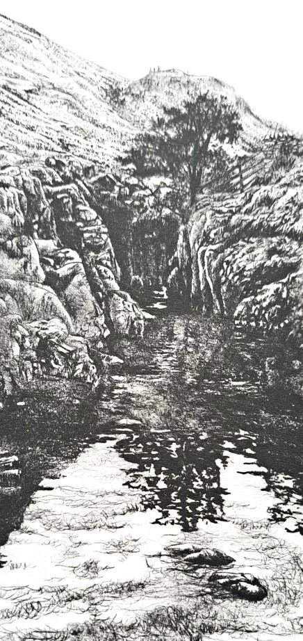 [SOLD] Richard Foster 'Swimming Place  II - Black Moss Pot', £145