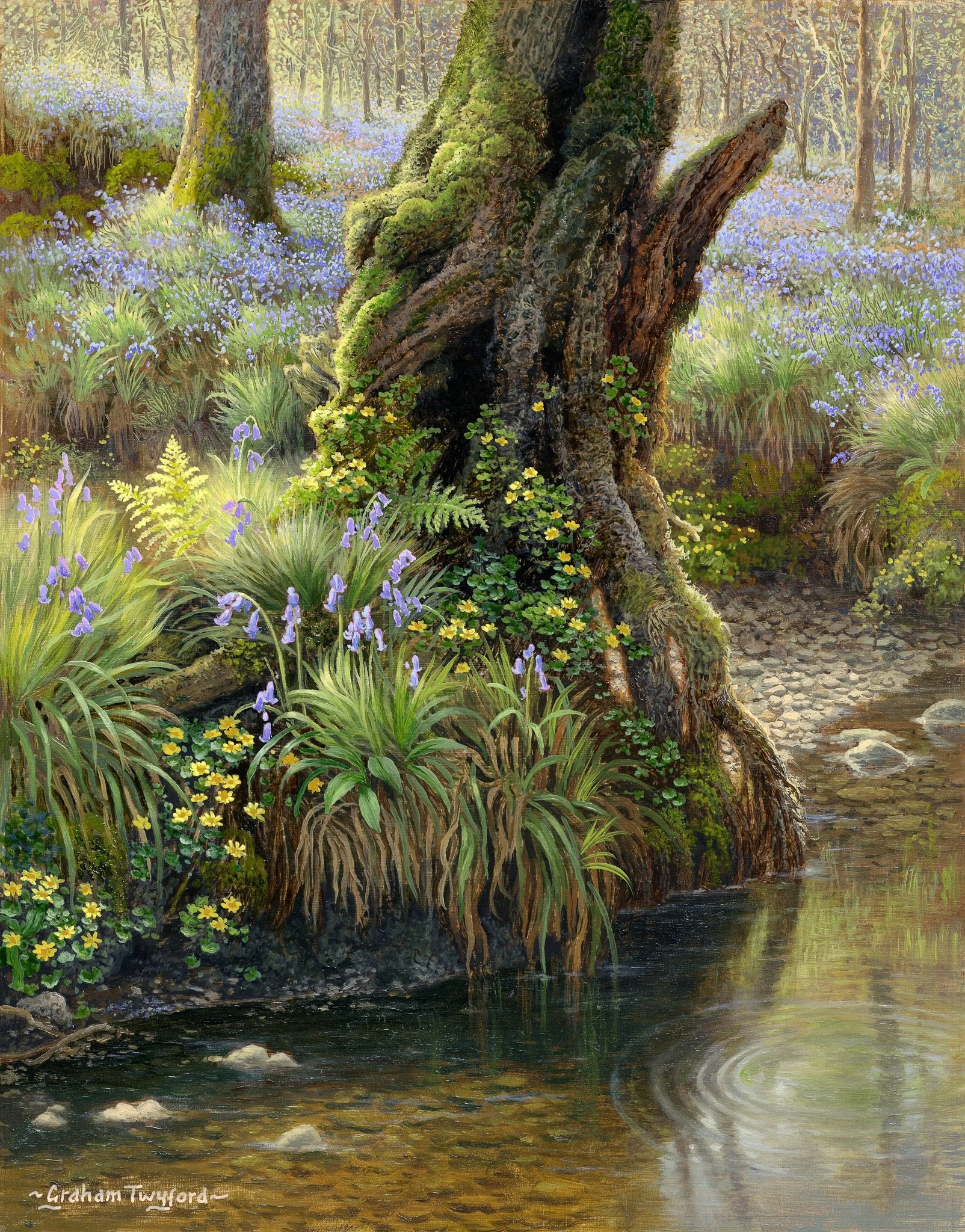 Graham Twyford 'Celandine and Bluebell - Ulpha', oil on panel, 35 x 28cm, £1000