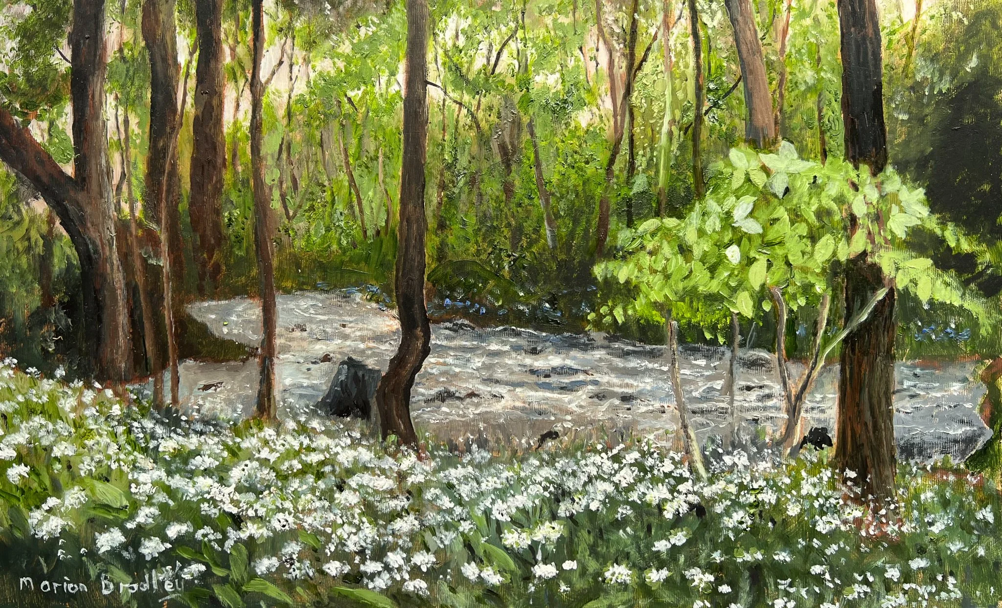 Marion Bradley 'Wild Garlic By Lakeland Beck', oil, 22.5 x 40cm, £350