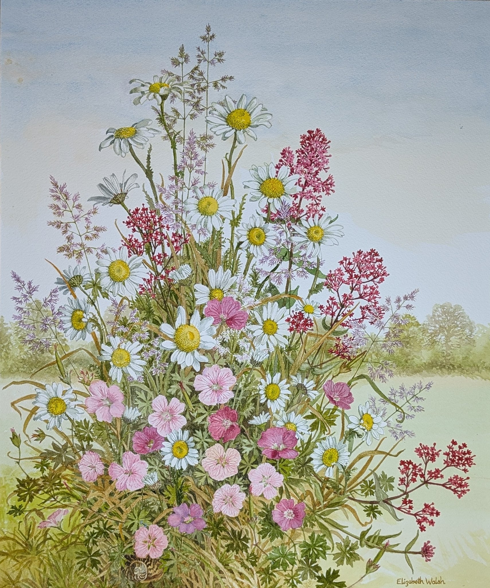Elizabeth Walsh 'The colour of summer', watercolour, 68 x 56cm, £480