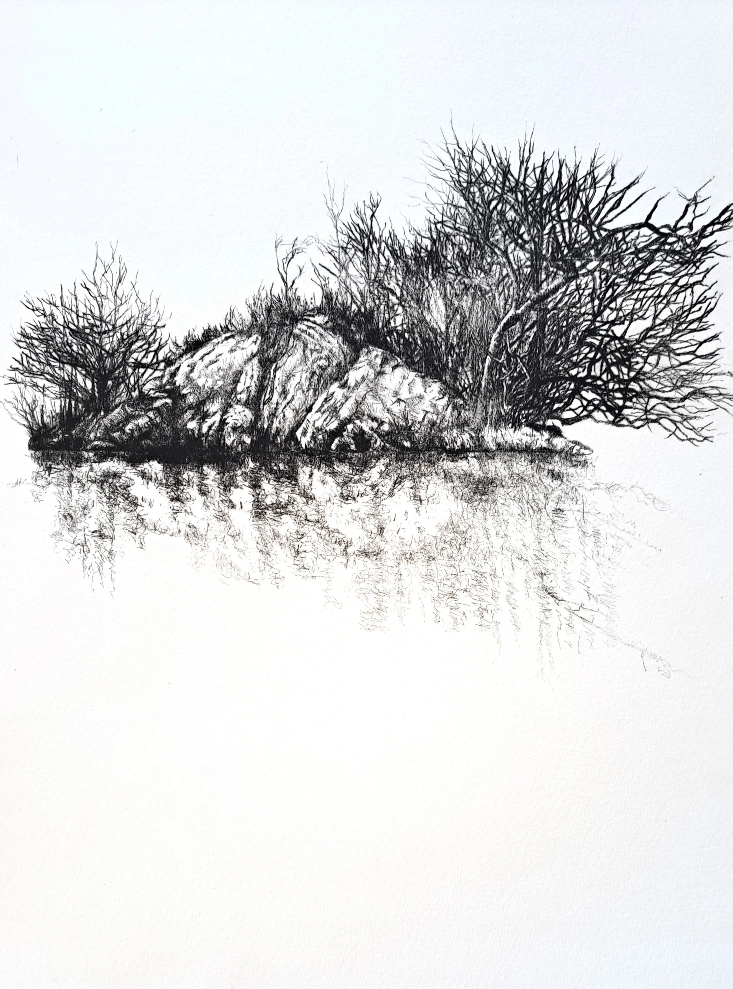 Richard Foster 'Holme I'