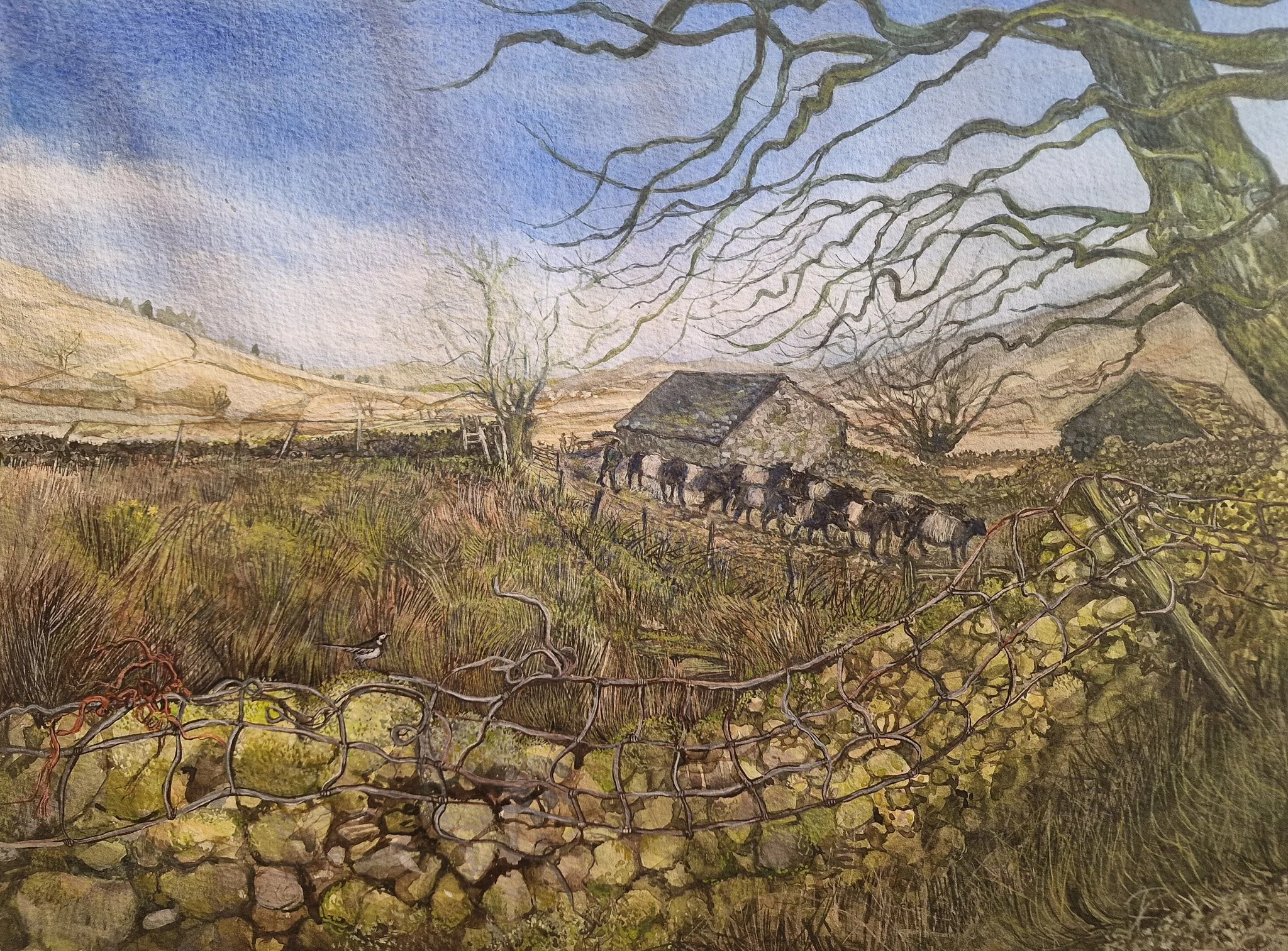 Sally Toms 'The old guard matterdale', watercolour and gouche on paper, 45 x 55cm, £950