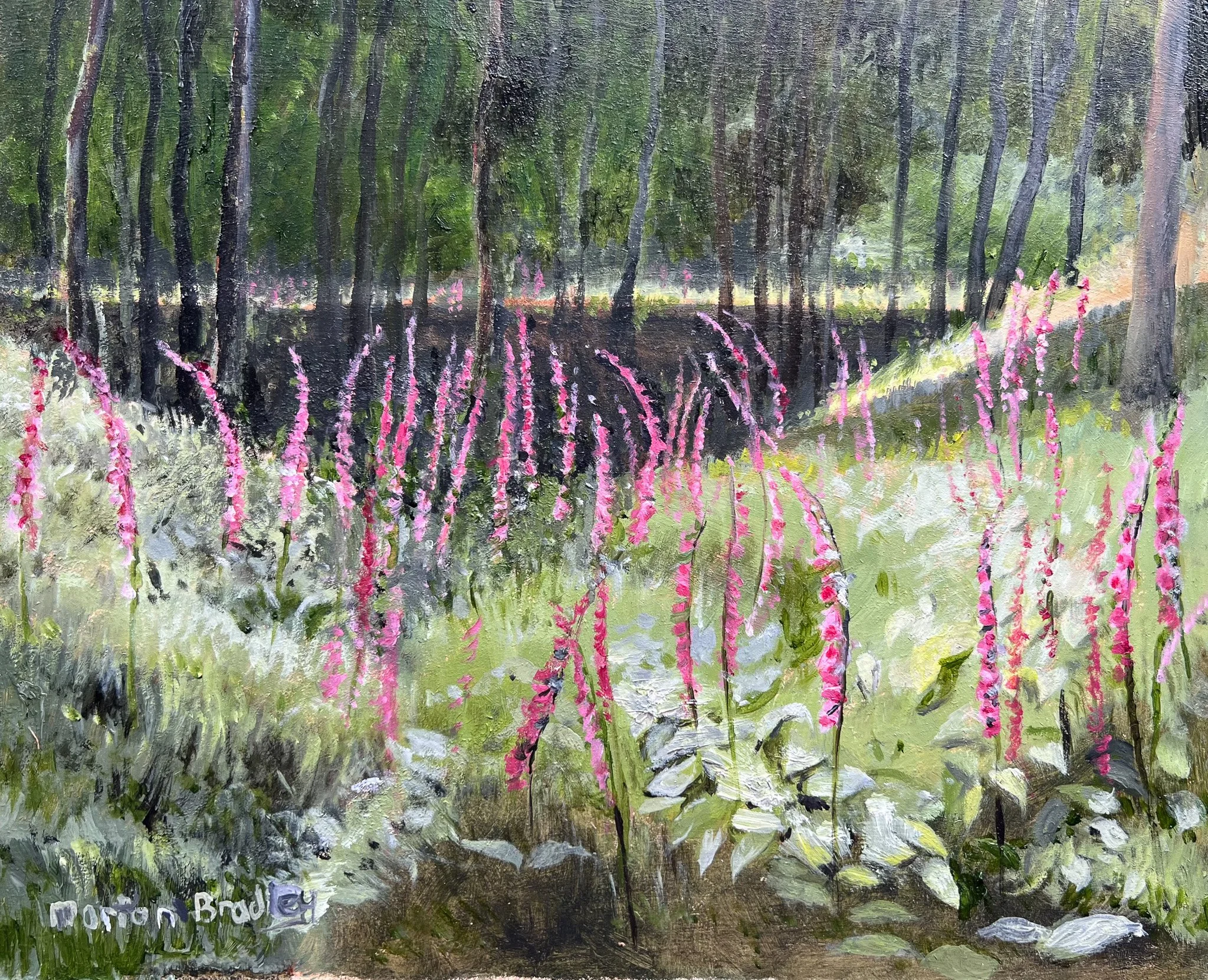 Marion Bradley 'Foxgloves', oil, 24 x 30cm, £325