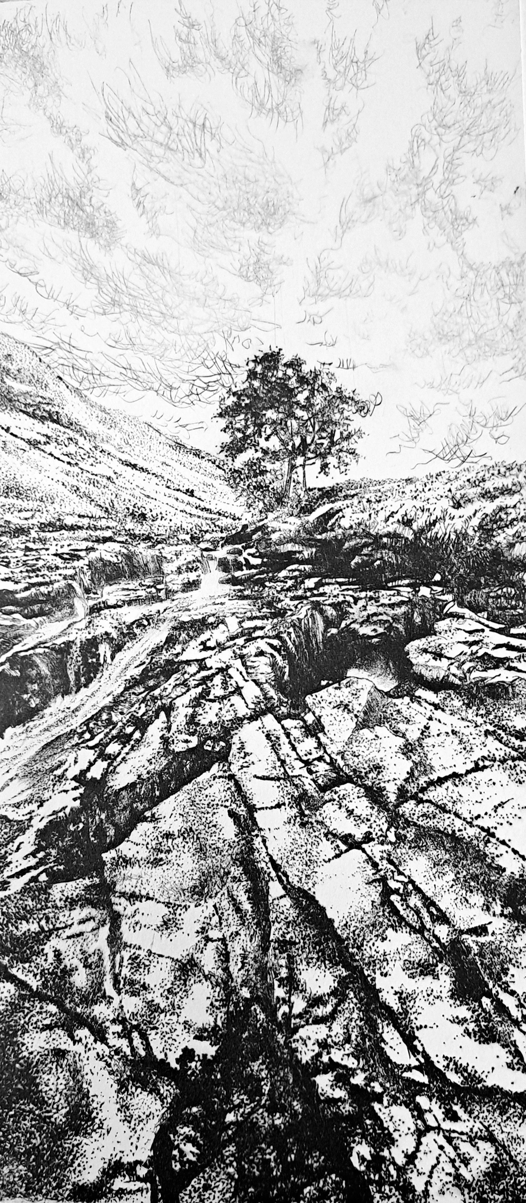 [SOLD] Richard Foster 'Swimming Place III - Langstrath', £145