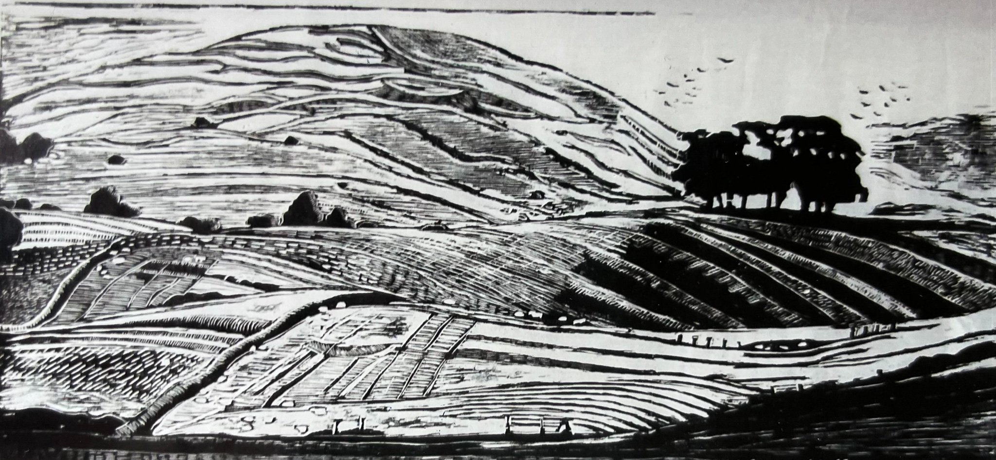 Ralph Wardle 'Lynchets in the Upper Eden Valley', 97 x 45cm, £800