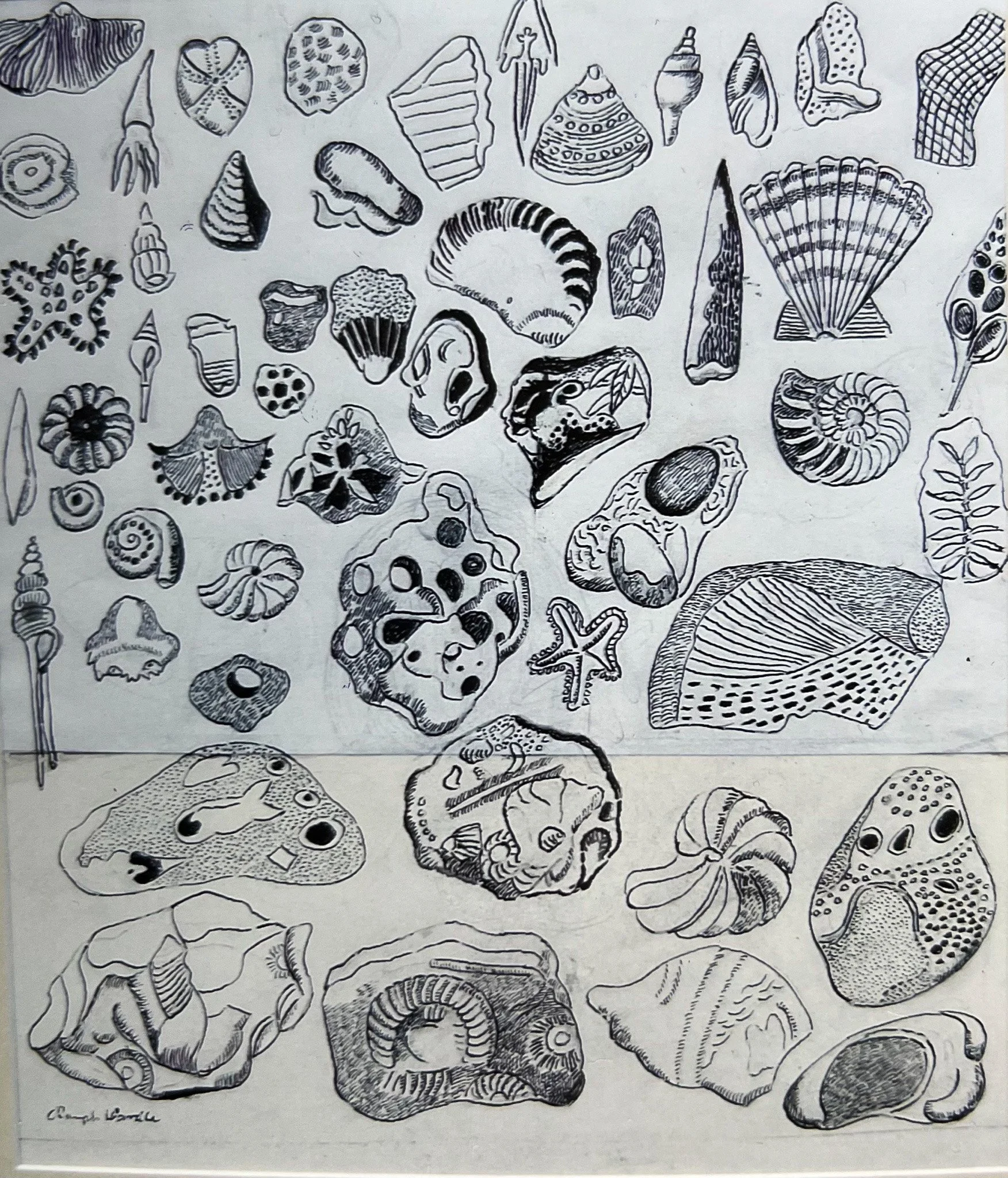 Ralph Wardle 'Fossils', pen and ink, 47 x 41cm, £350