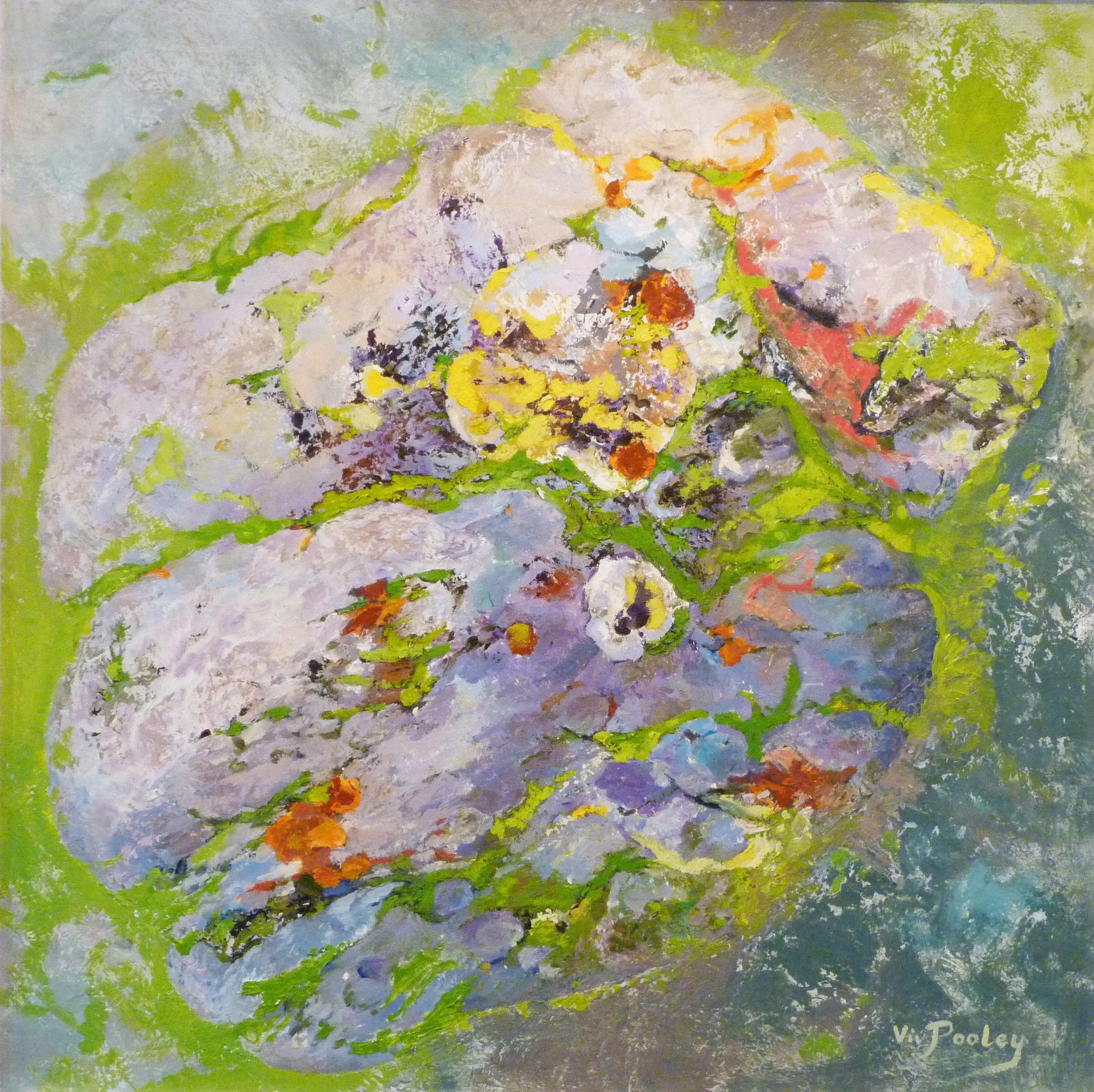 Vivienne Pooley 'Lichen on Rock', oil, 61 x 61cm