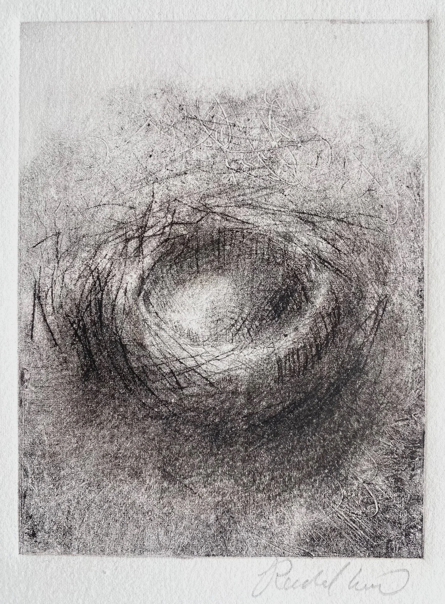 Rachel Gibson 'Nest', pencil and ink, 15 x 12cm, £150