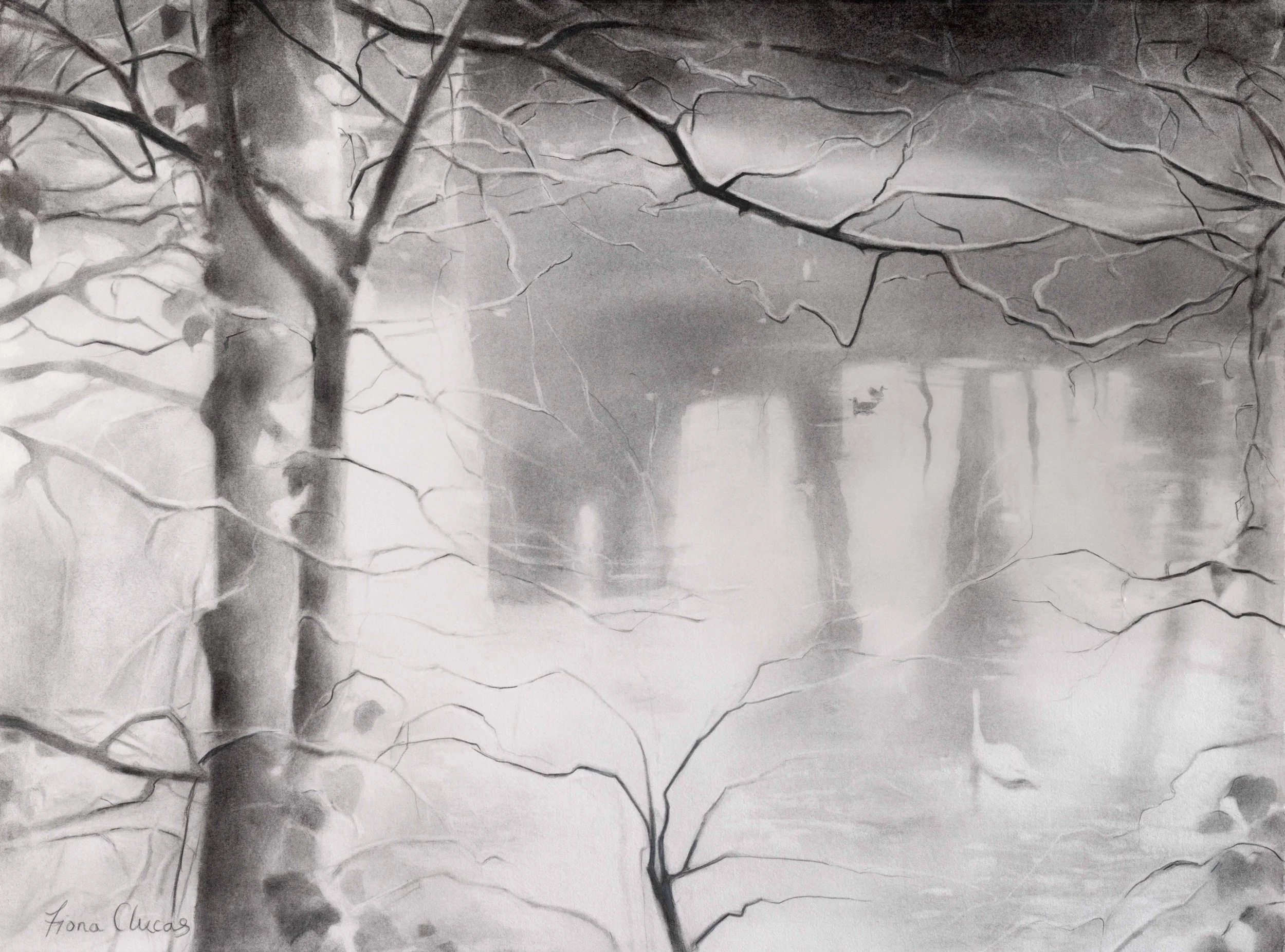 Fiona Clucas 'Slow River, Sedgwick', charcoal & Cont'e, 75 x 92cm, £1500