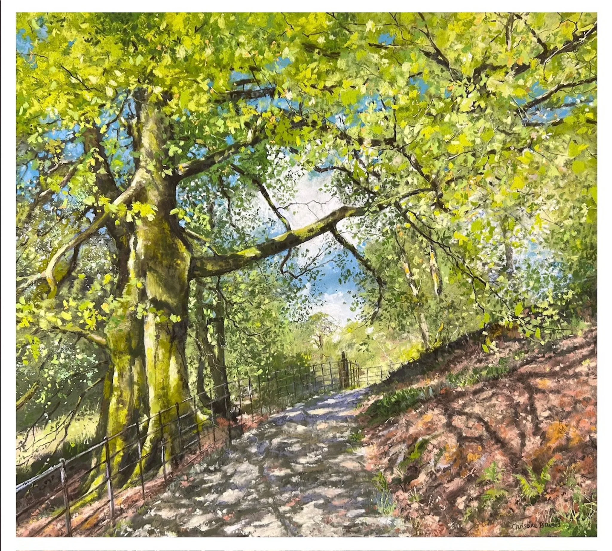 Christine Baines 'High Close in Spring', pastel, 35 x 38.5cm, £500