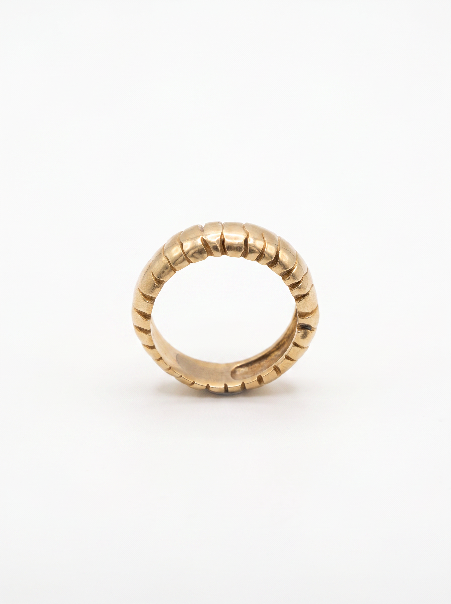 keep_the_uploaded_ring_exactly_Nano_Banana_Pro_51990.png (Copy)