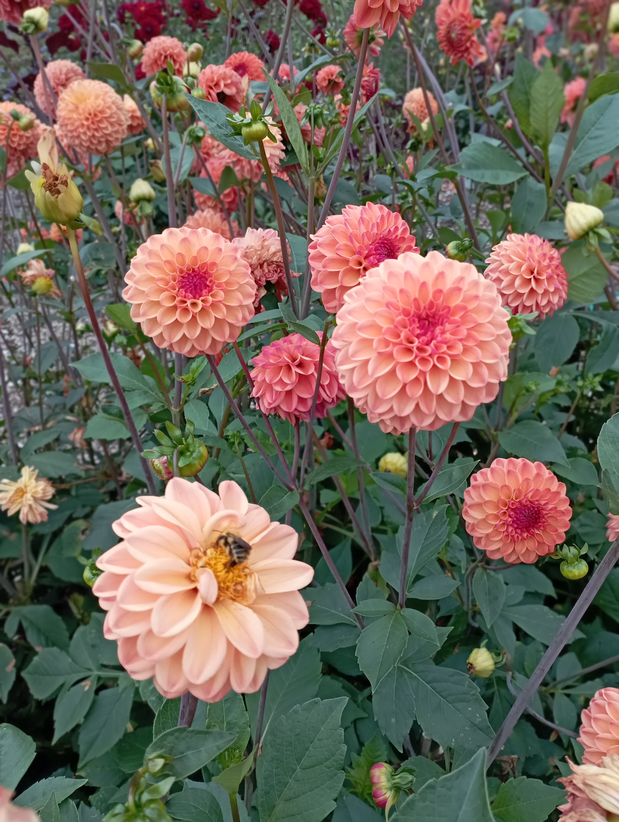 How can I transform my life in a year?