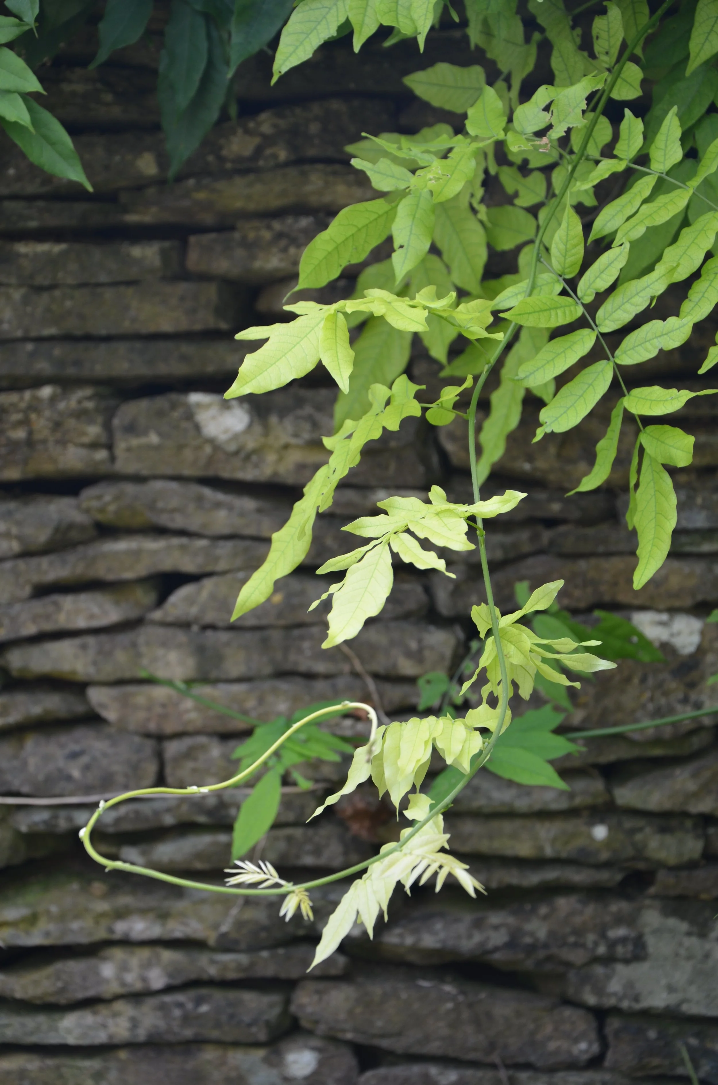 How can I navigate a career crossroads or transition? A guide to help sustainability leaders find clarity