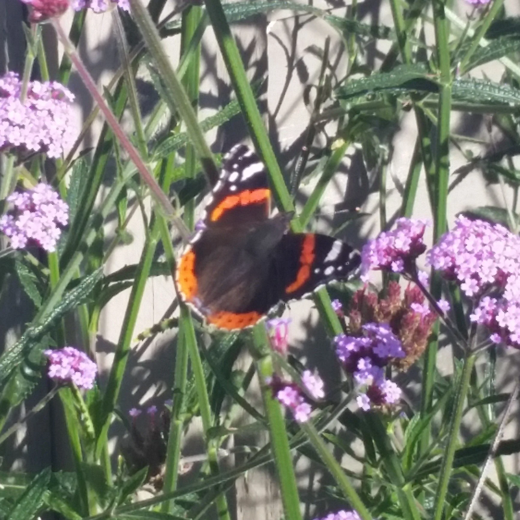 Do I need to make big changes in order to transform my life? (no, you need to think big, and act small)