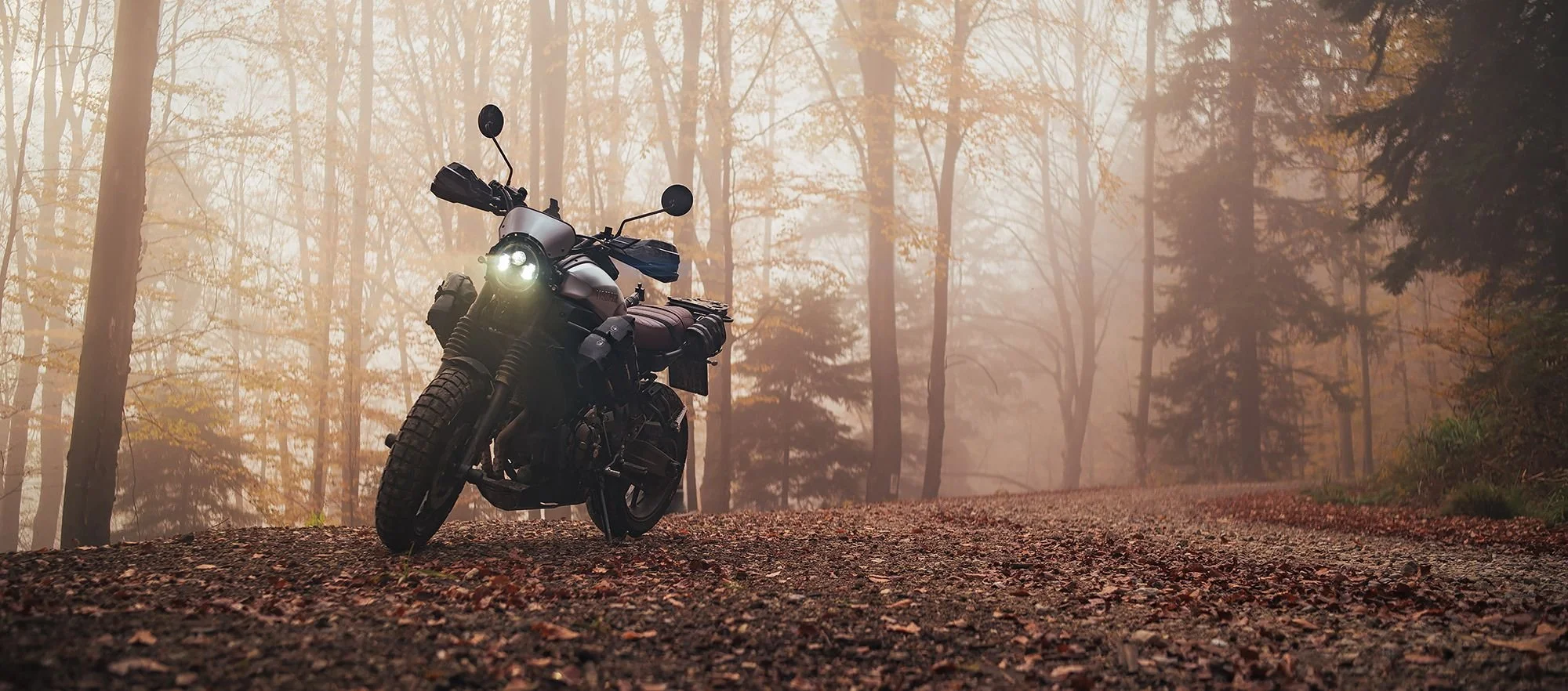 AYA Yamaha XSR 700_062.jpg