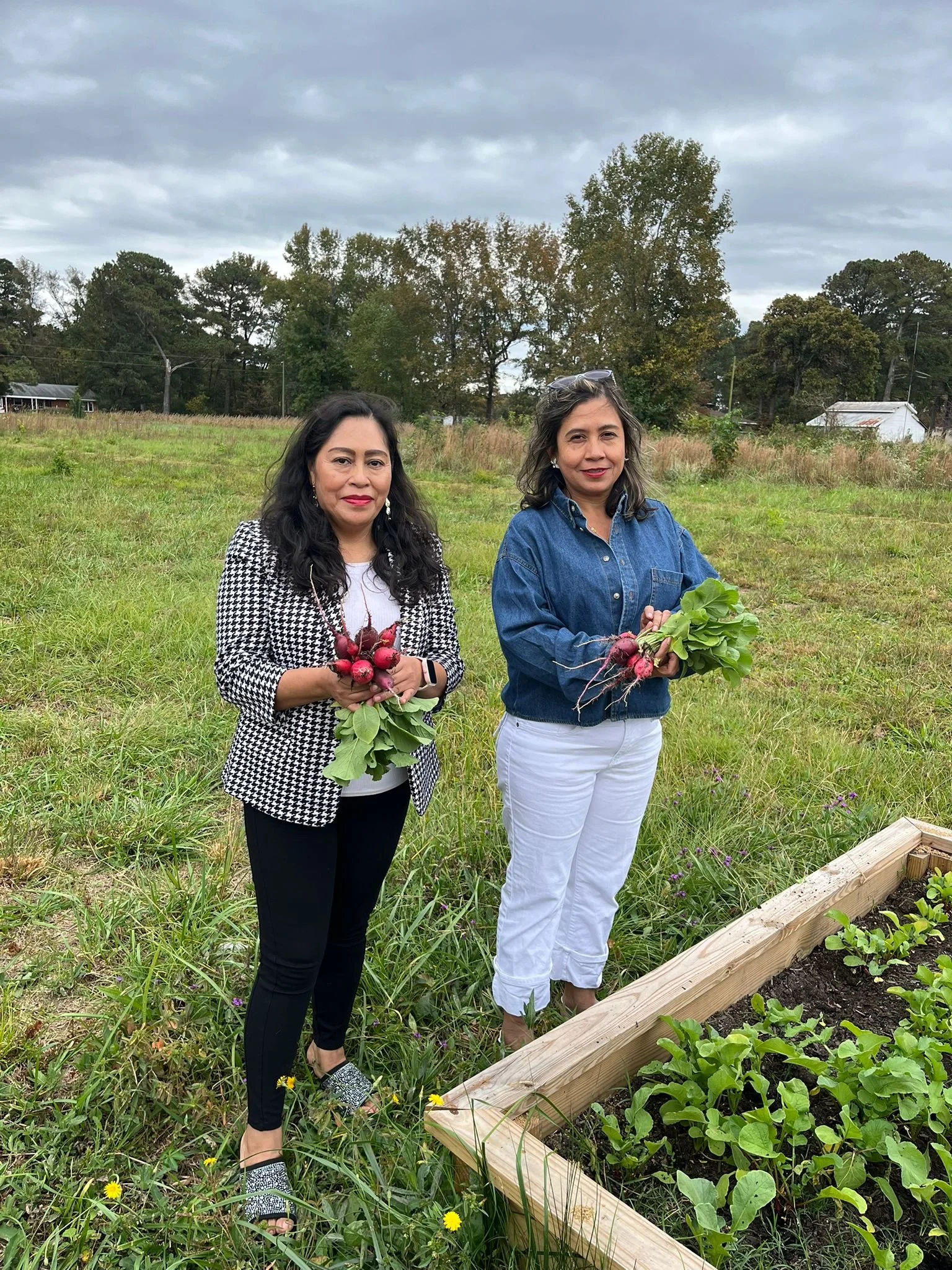 Local currency workshop/ Taller de moneda local/ Atelye sou lajan lokal la