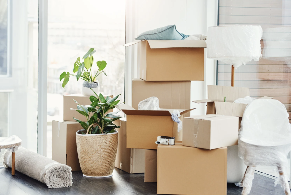Moving boxes packed with household items, including a potted plant, a rolled-up rug, a floor lamp, and furniture, in a bright room with a sliding glass door.