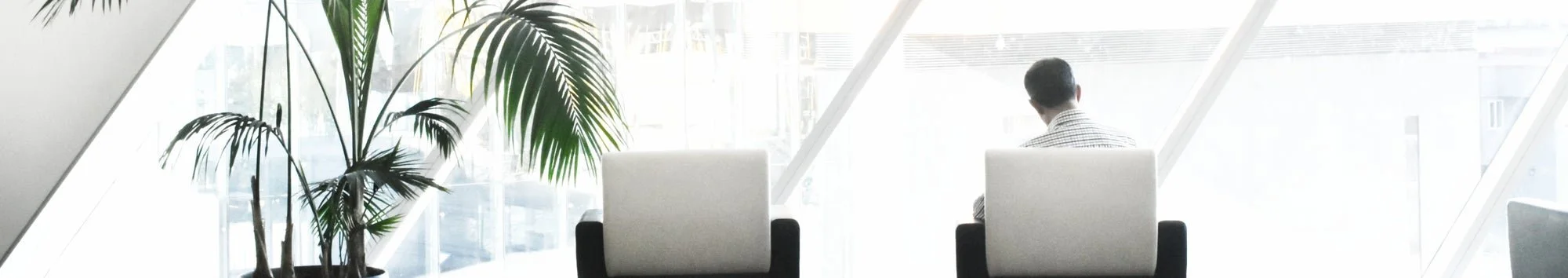 A man sitting alone in a modern, bright office with large windows, white chairs, and a tall green plant.