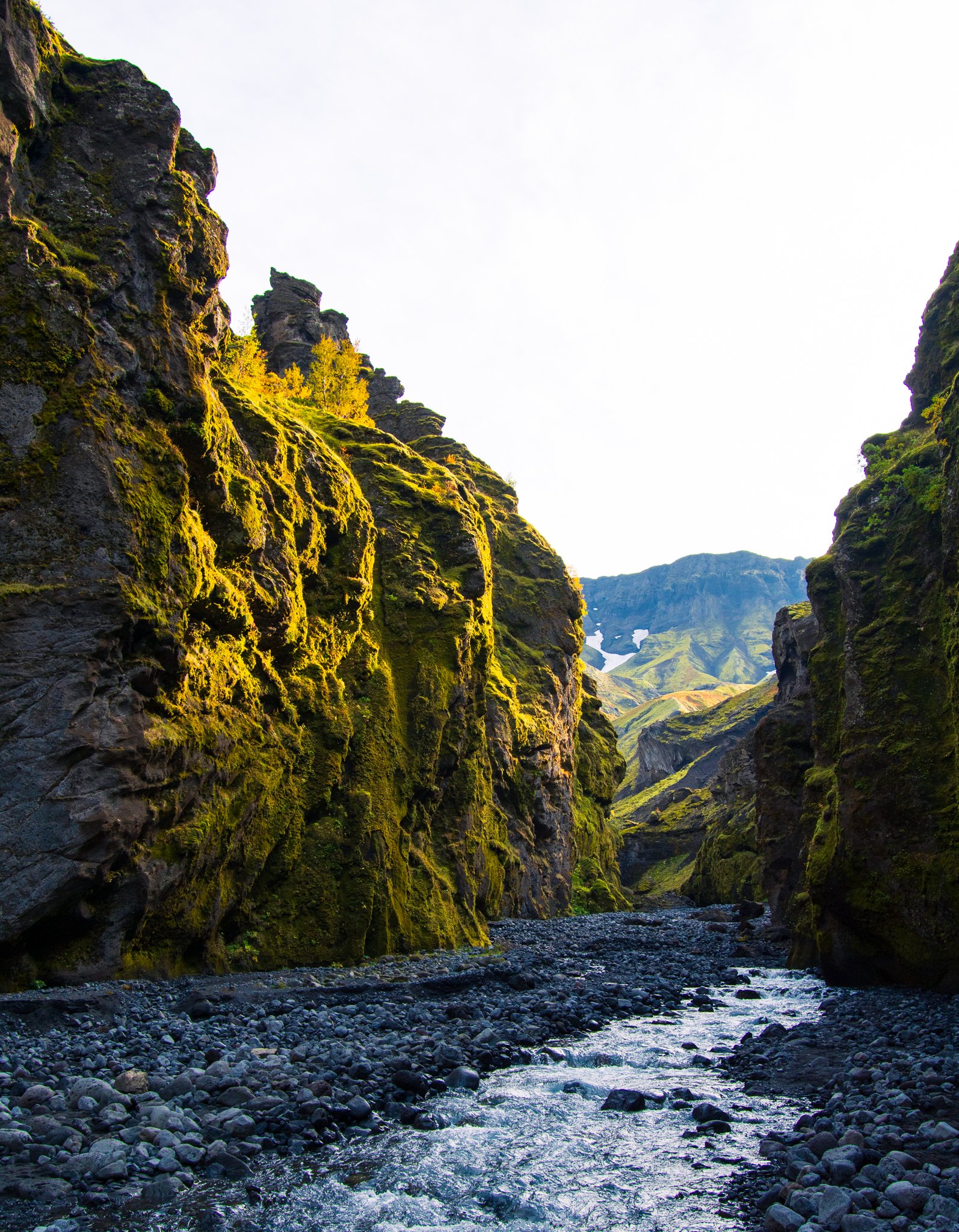 DSC_7859-2.jpg