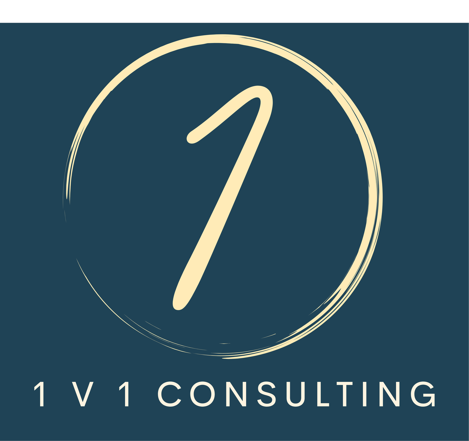 1 v 1 CONSULTING