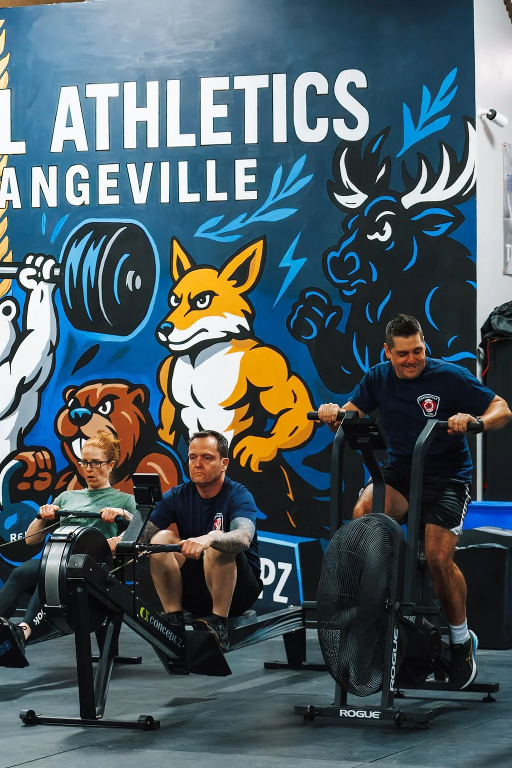 Two people using rowing machines in a gym with a large mural on the wall depicting animals, including a fox, a bear, and a moose, with the words 'ALL ATHLETICS' and 'ANGEVILLE' above.