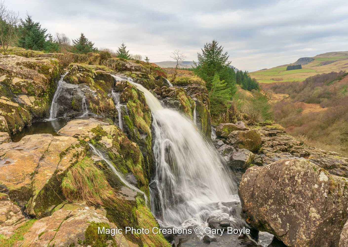 Loup of Fintry