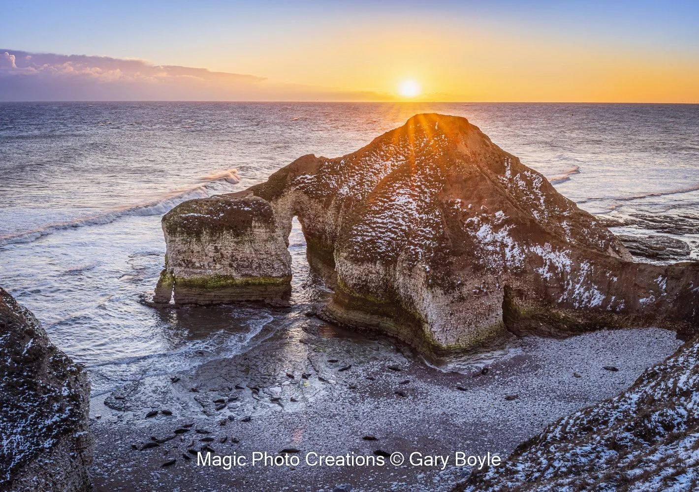 Drinking Dinosaur.jpg