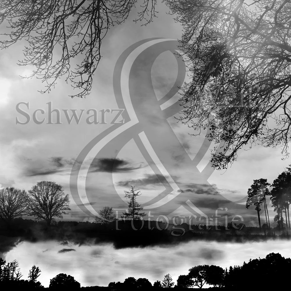 2025 August 01 Wolken SWQ Sandwich2 Home_MWF1123.jpg