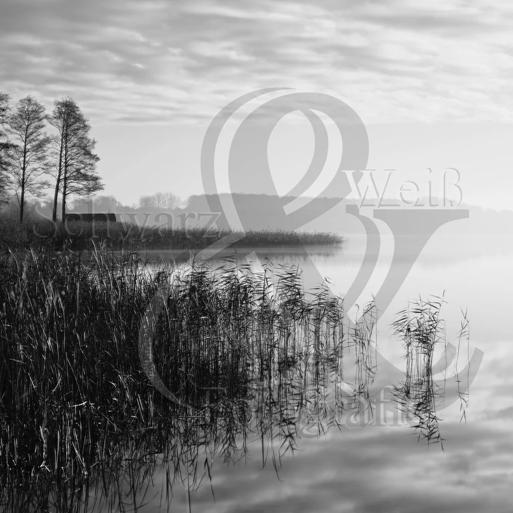2025 11 26 Schaalsee Dargow Home _MWF1546.jpg