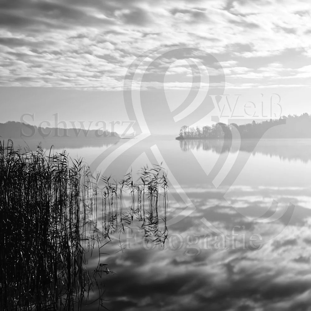 2025 11 26 Schaalsee Dargow Home SWQ3 _MWF1537.jpg