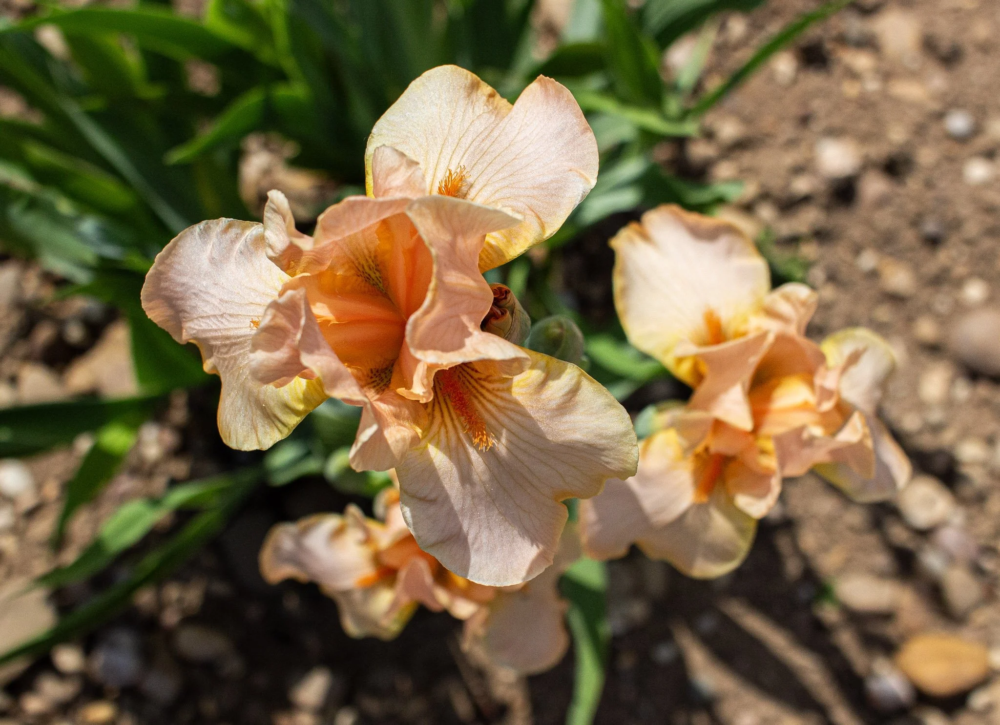 Endless Treaure- Above.jpg