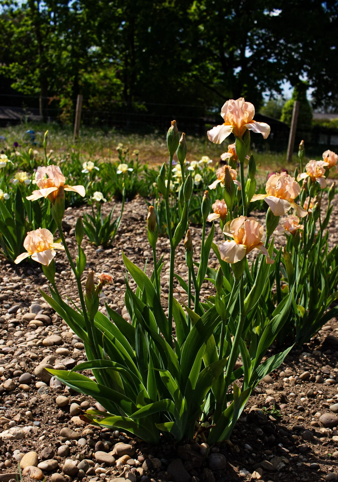 Endless Treasure- Full.jpg