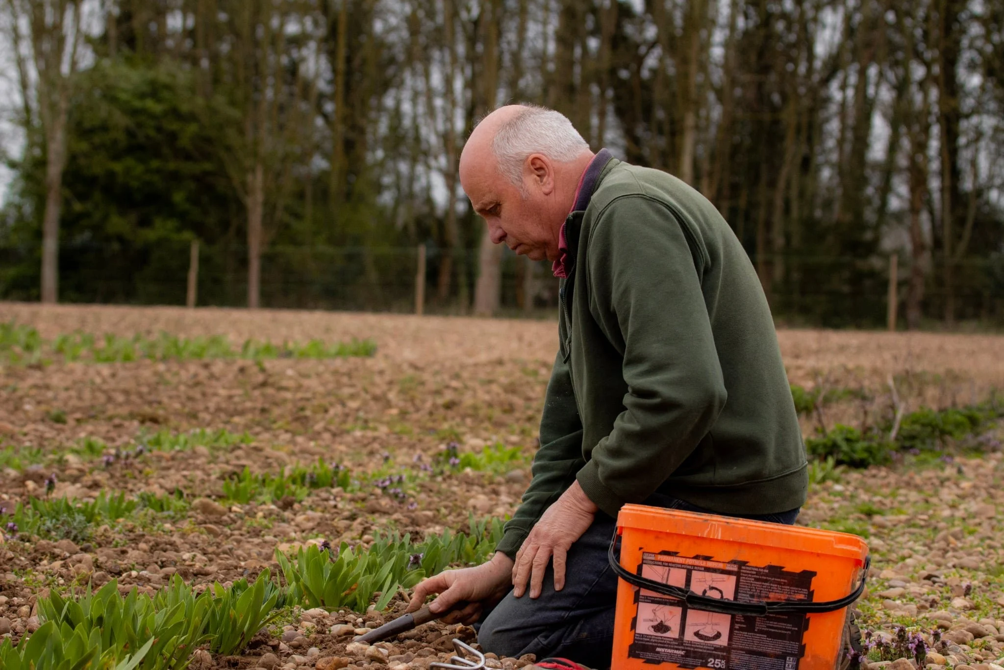 Jeremy tends to the irises in our field, ensuring they're in perfect shape for sale.