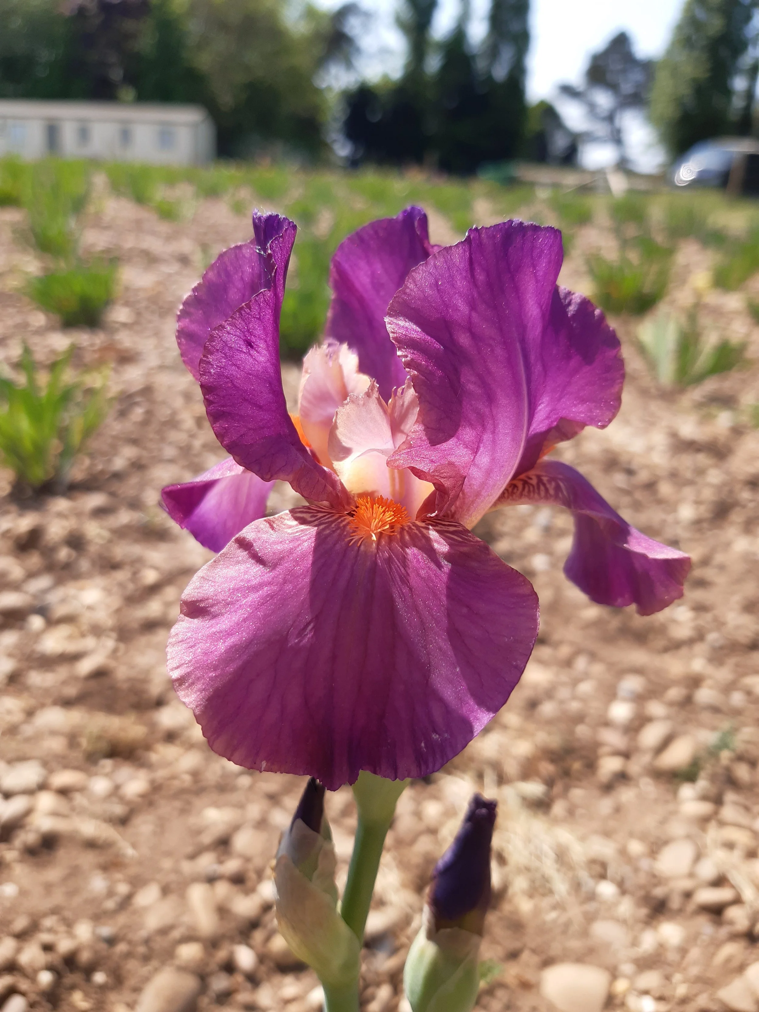 20250501_124305 (1).jpg