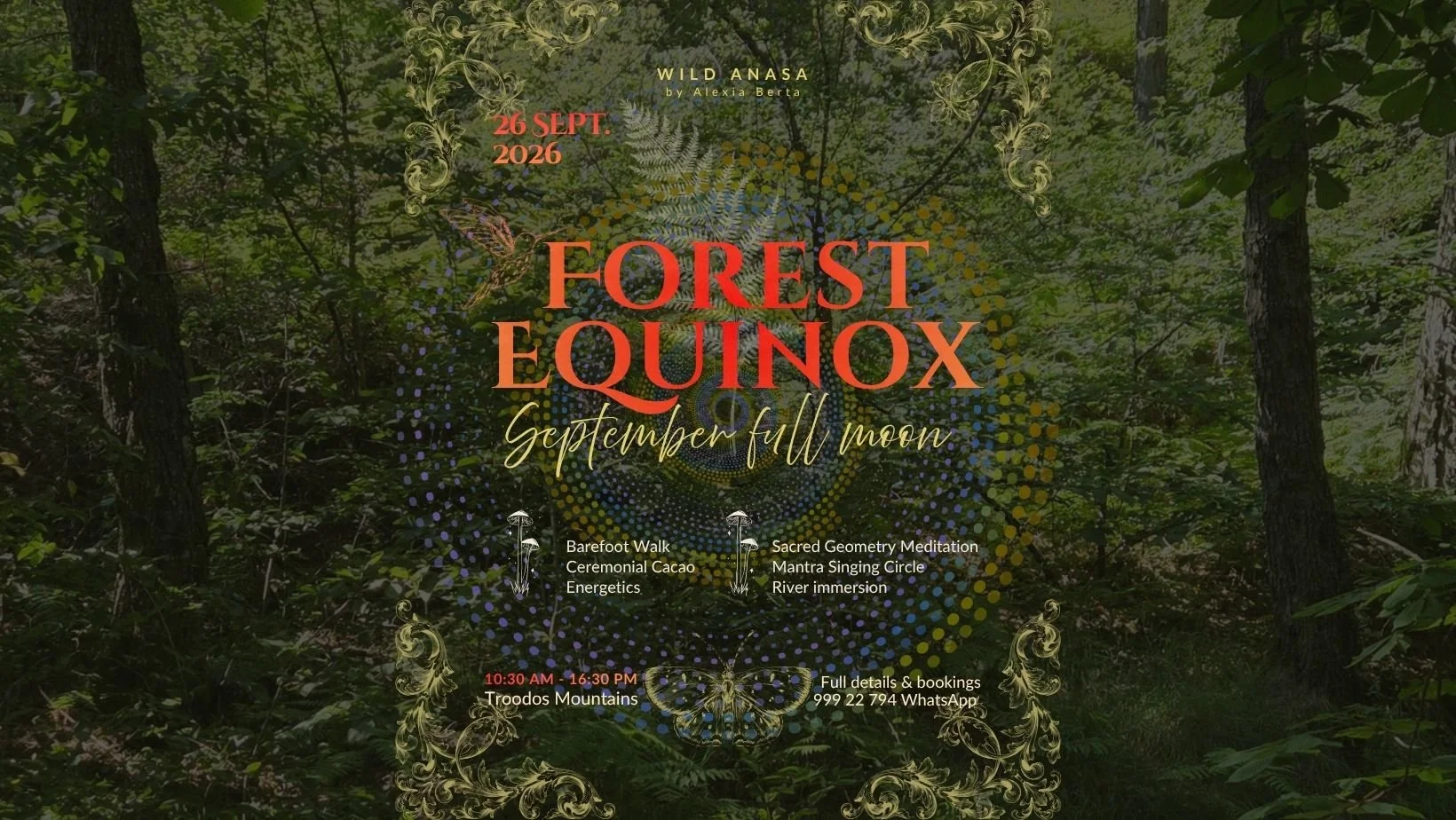 Forest Equinox