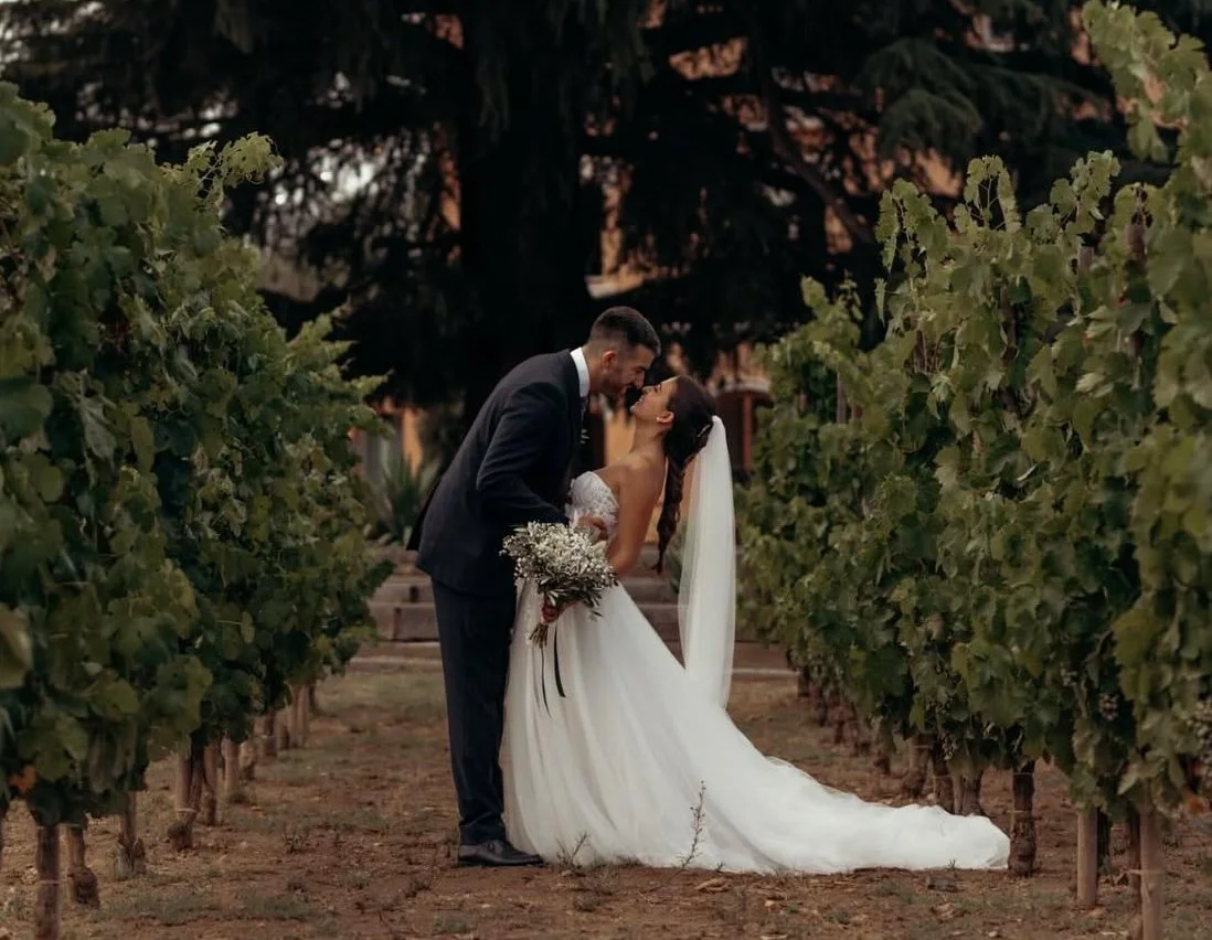 Personas brindando con copas de vino tinto al aire libre.